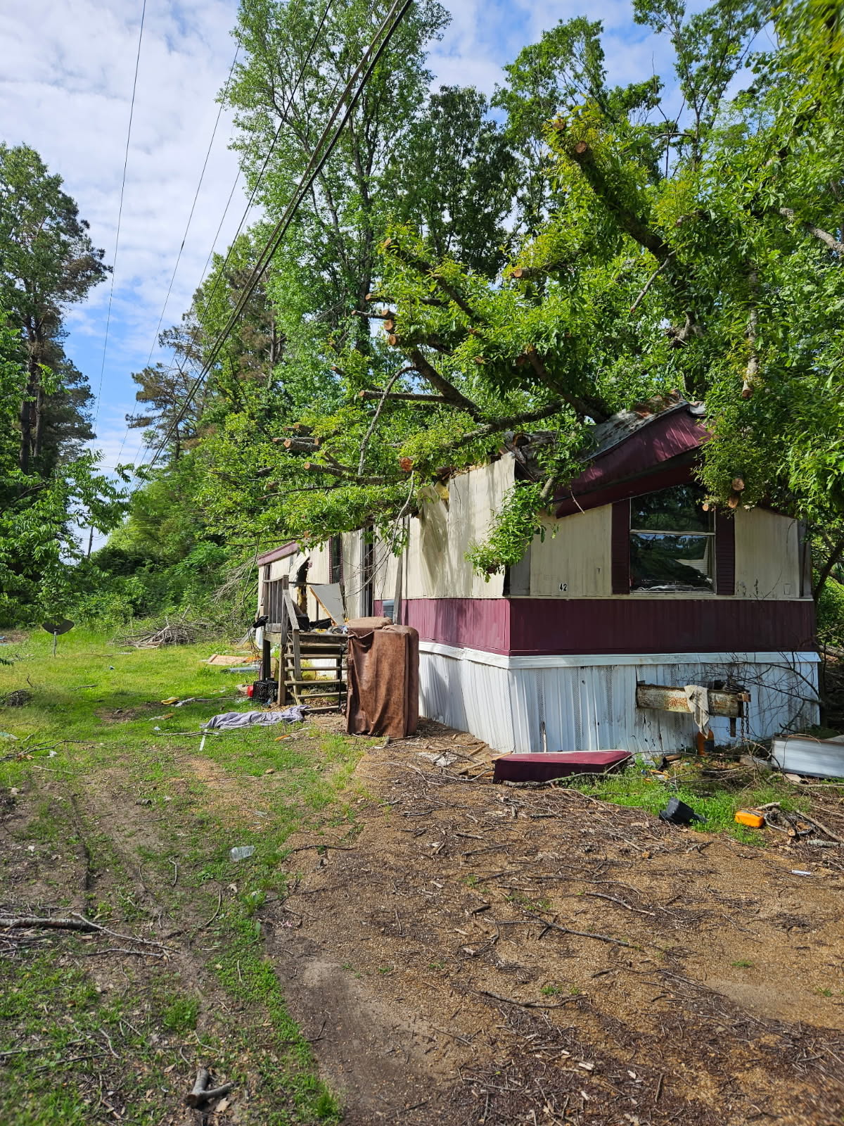 Tree fallen on mobile home – before