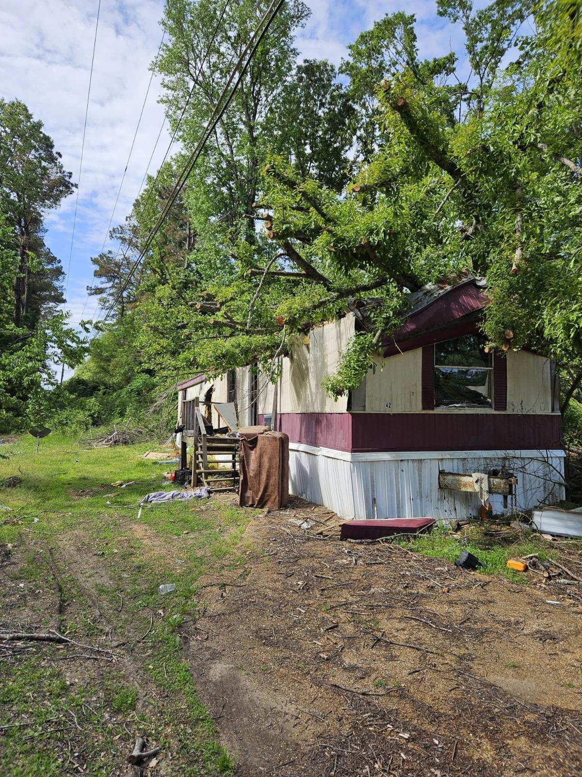 Storm damaged tree on house – before